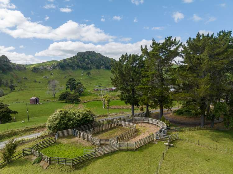 45 Te Akau Coast Road Te Akau_23