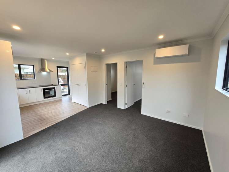  C/17 Graham Street Levin_6