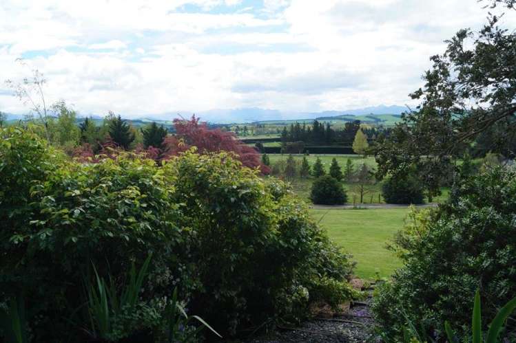 31 Kellaway Terrace Waikari_24