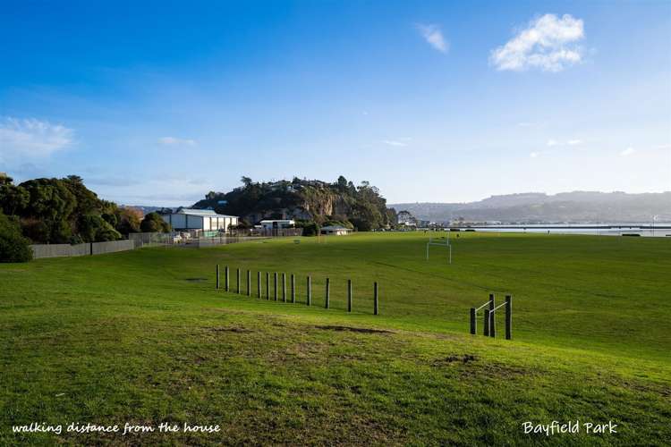 86 Somerville Street Andersons Bay_18