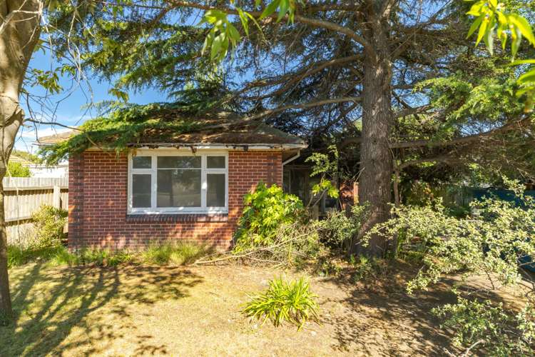 63 Bassett Street Burwood_8