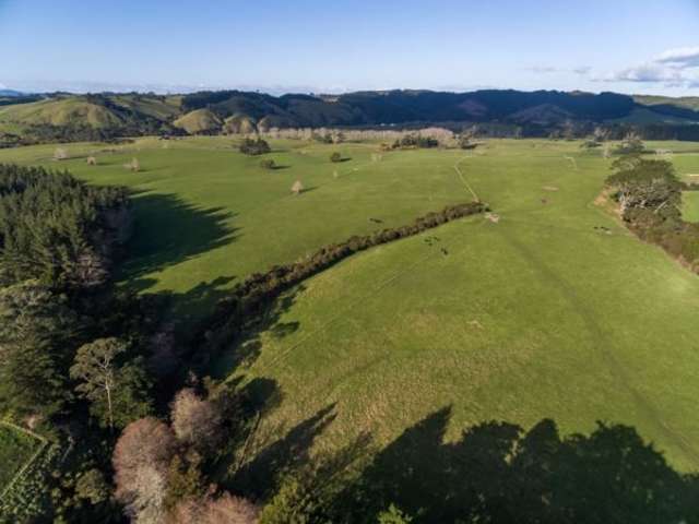 647 Whitford-Maraetai Road Beachlands_3