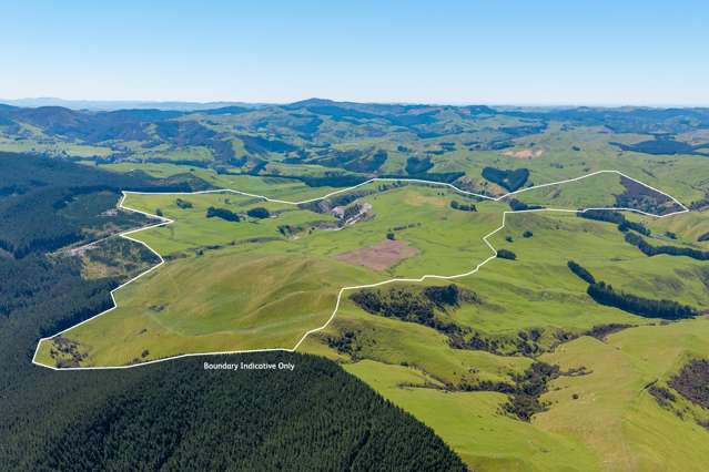 Productive Weber farm – 347 ha