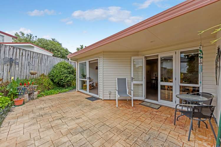 29 Palmgreen Court Stanmore Bay_17