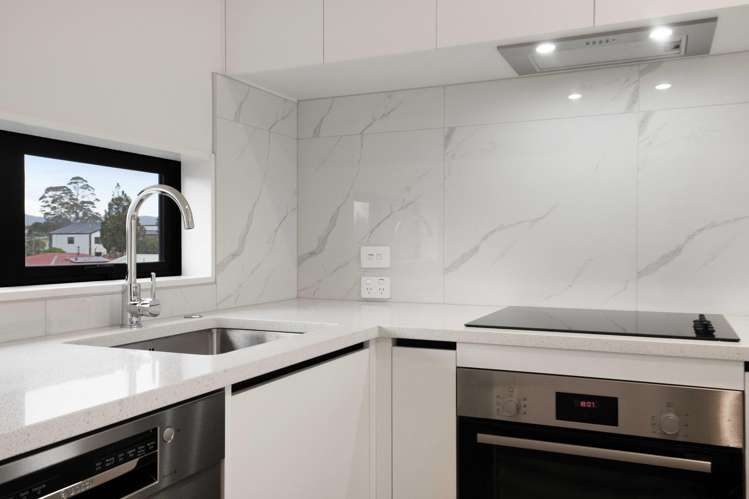 Lot 46/26 Pomaria Road_5