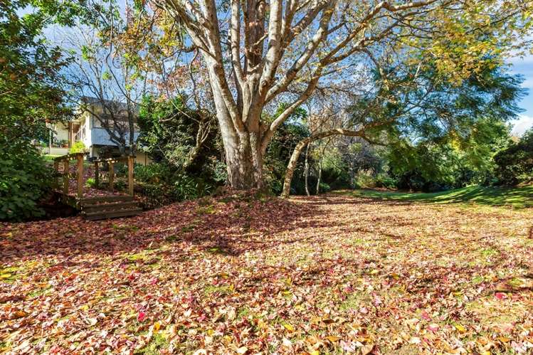 275c Kamo Road Whau Valley_17