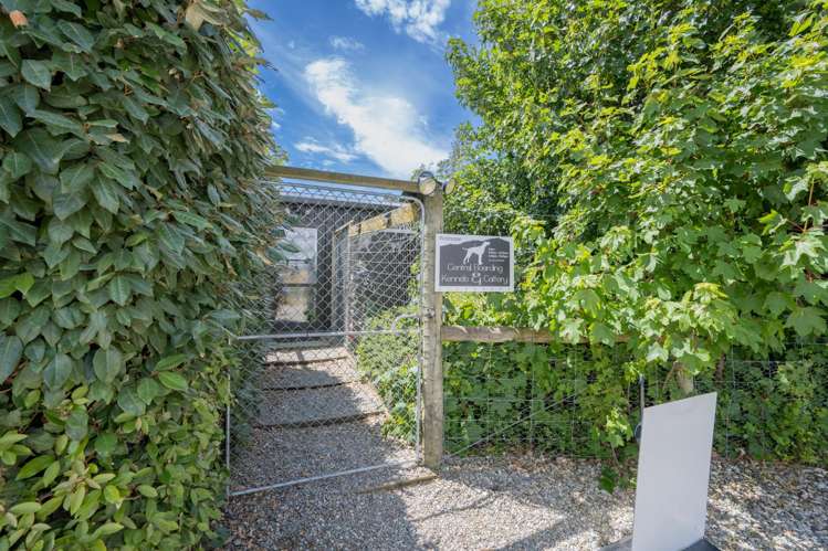 1981 Omakau-Chatto Creek Road Alexandra_19