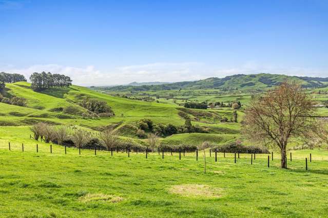 928 Kairangi Road Rotoorangi_2