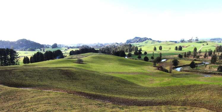 Waitomo Caves Road Waitomo_17