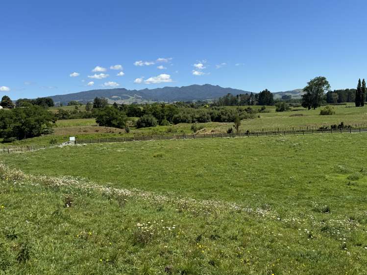 28 Cannon Road Otorohanga_10