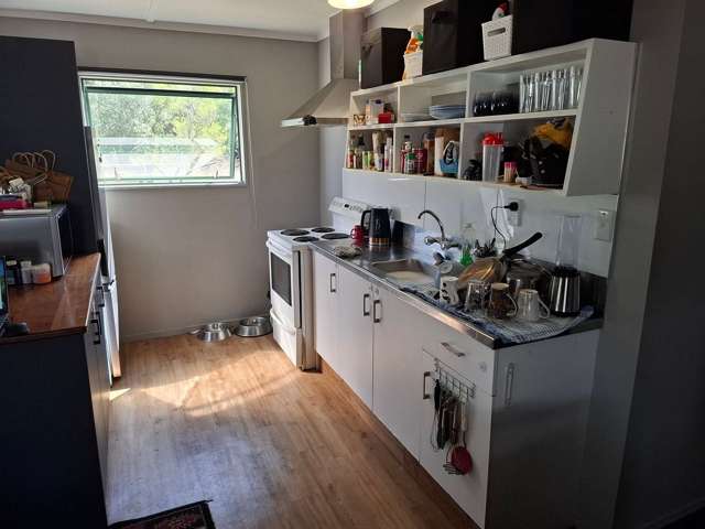 209A Scotsman Valley Road Tauwhare_3