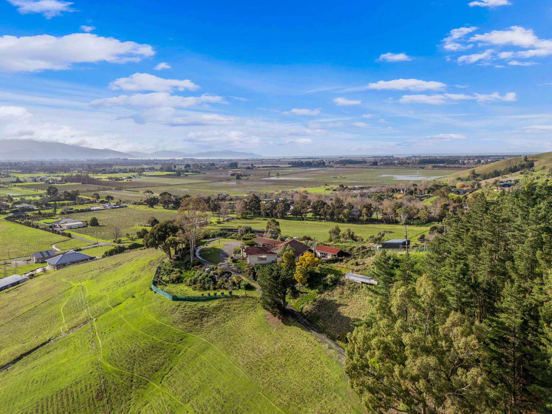 10 Lowther Drive Witherlea_0