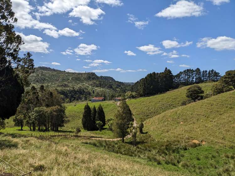 360 Burnside Road Makarau_12