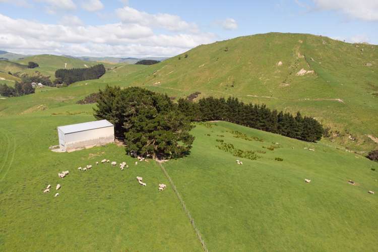 1921 Weber Road Dannevirke_8