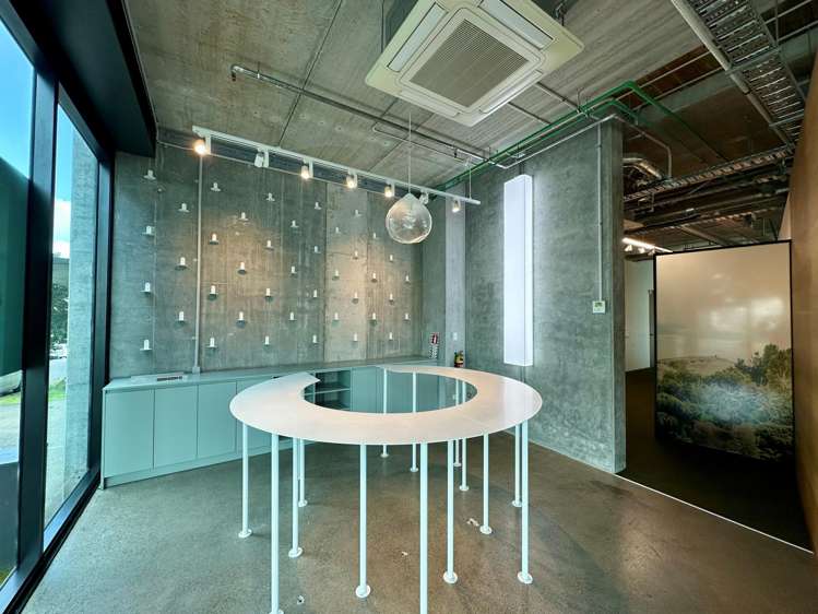 5 Crummer Road Grey Lynn_6