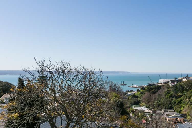 19 Coleman Terrace Hospital Hill_18