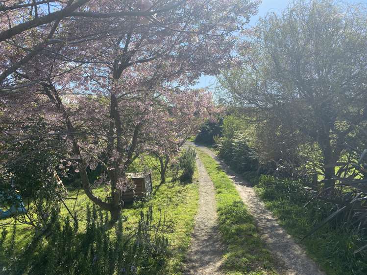 68 Parapara Road Tirau_5