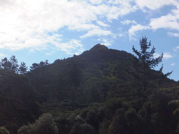 63 Wainui Road Kaeo_15