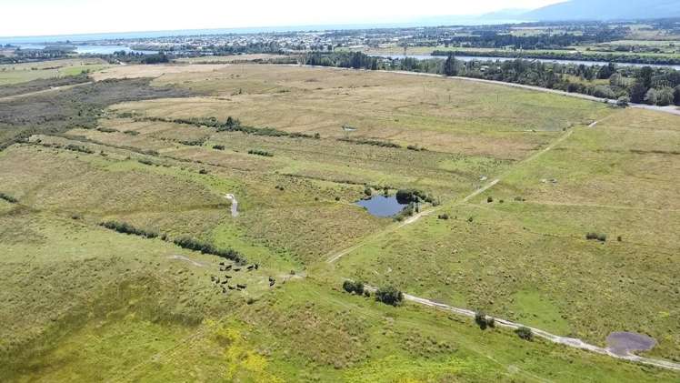 State Highway 67, Buller Road Westport_6