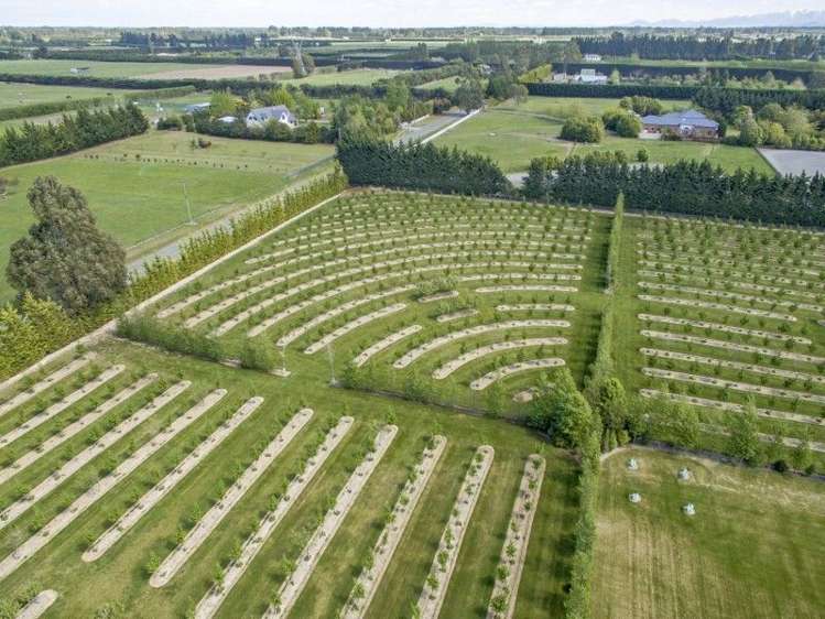 293 Lawford Road West Melton_9