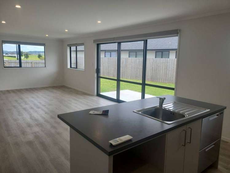 5 Kapiakauri Road 2010_4