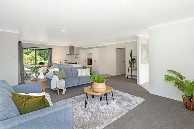 12 Harris Street Kaiti_1