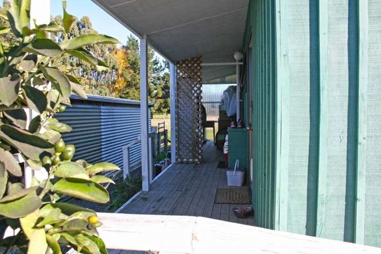 62a Ferry Road Spring Creek_5