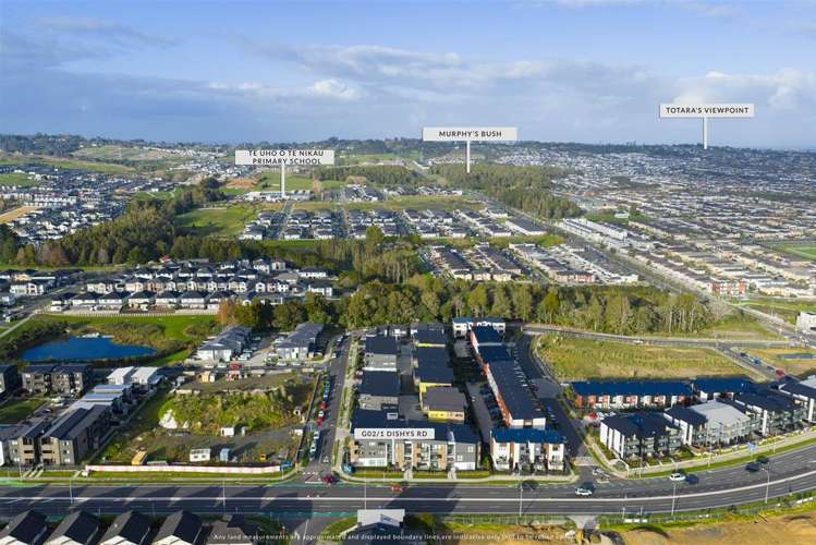 G02/5 Dishys Road Flat Bush_24