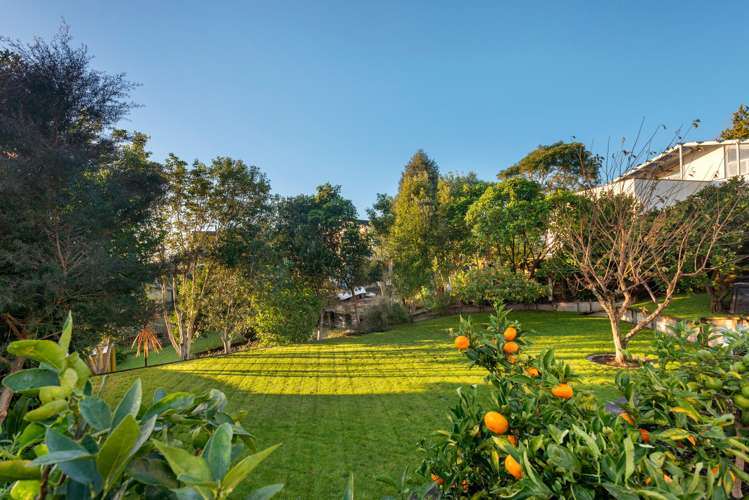 259 Bellevue Road Bellevue_19