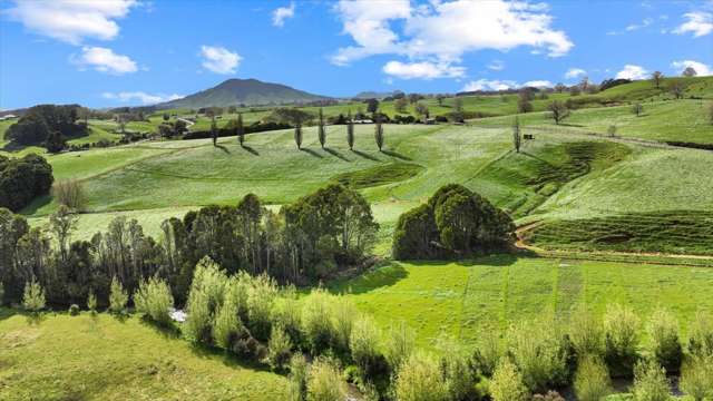 25 Hectares of Rural Opportunity – Honikiwi
