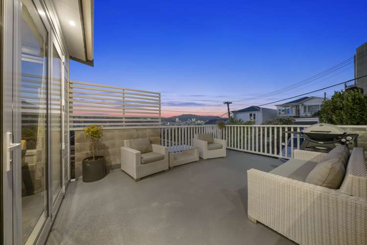 102 Ellice Street Mount Victoria_6