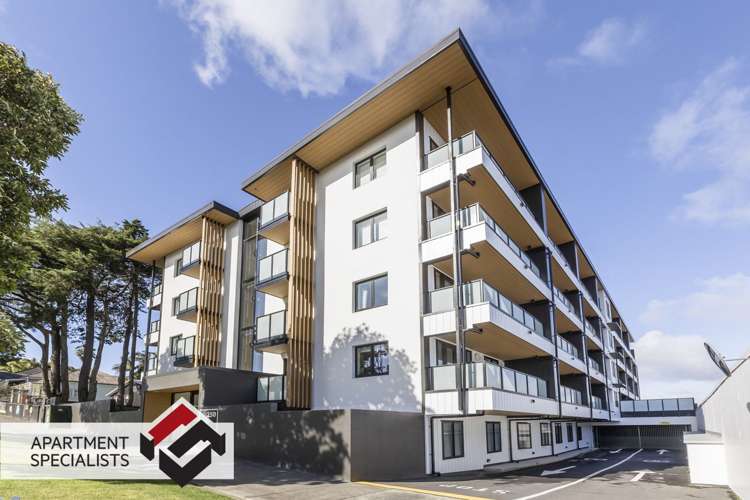 250 Richmond Grey Lynn_2