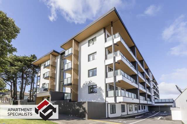 250 Richmond Grey Lynn_2