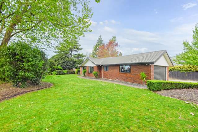 Owner Says Bring All Offers