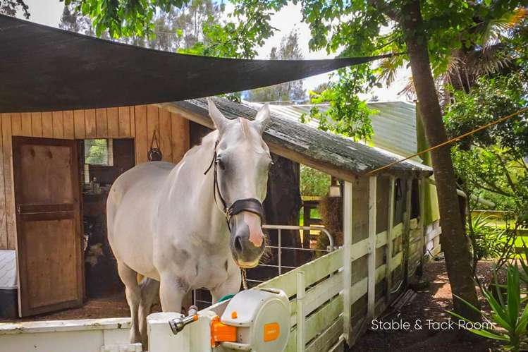 438 Kaipara Coast Highway Helensville_28