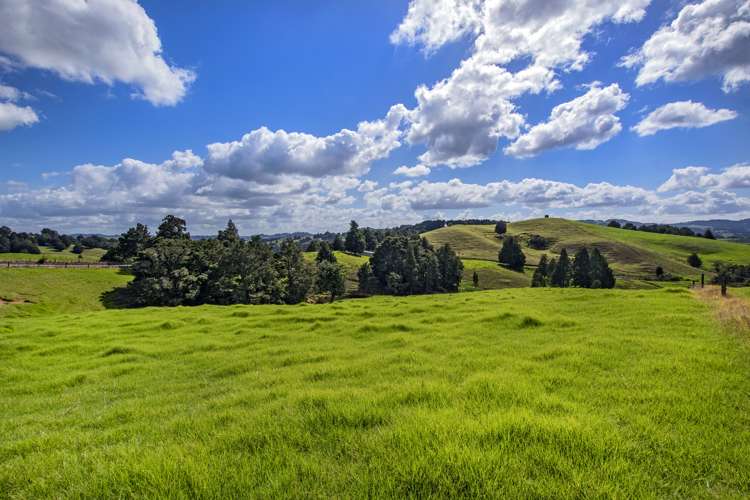 Lot 1 Oetzman Rd Hikurangi Rd2_15