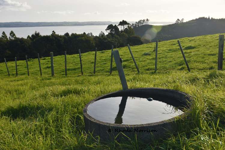 100 Te Wairoa Lane Matakohe_35