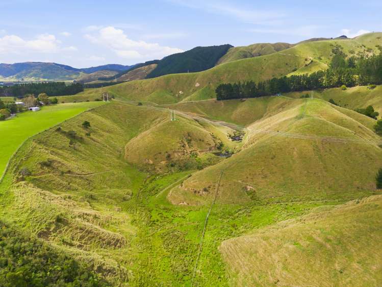 100 Heights Road Shannon_12