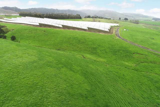 969 Tuakau Bridge-Port Waikato Roa Te Kohanga_4