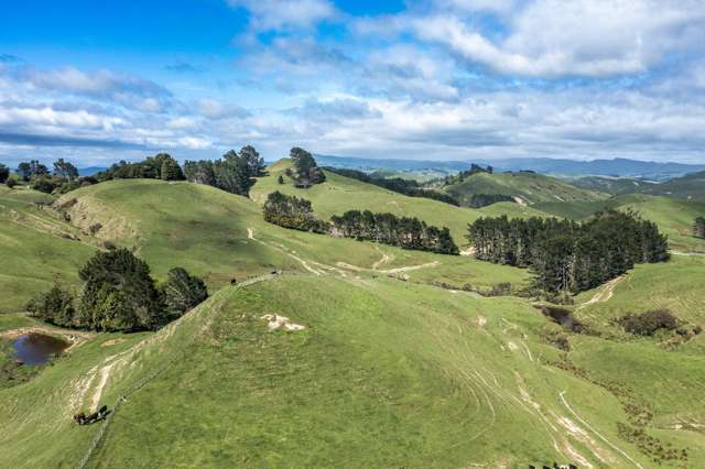 1063 Ngapaeruru Road Dannevirke_2