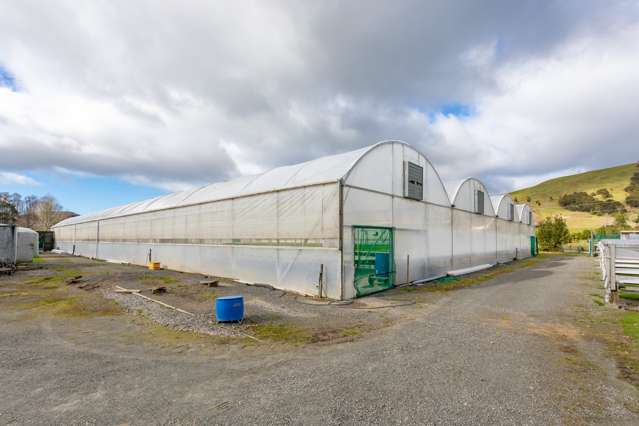 52 Parakiwai Quarry Road Whangamata_4