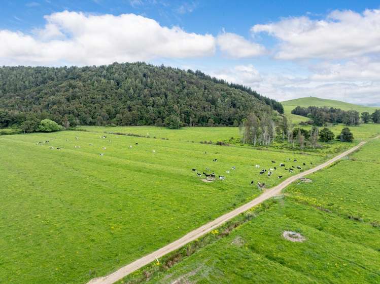 1266 Tauhei Road Morrinsville_13