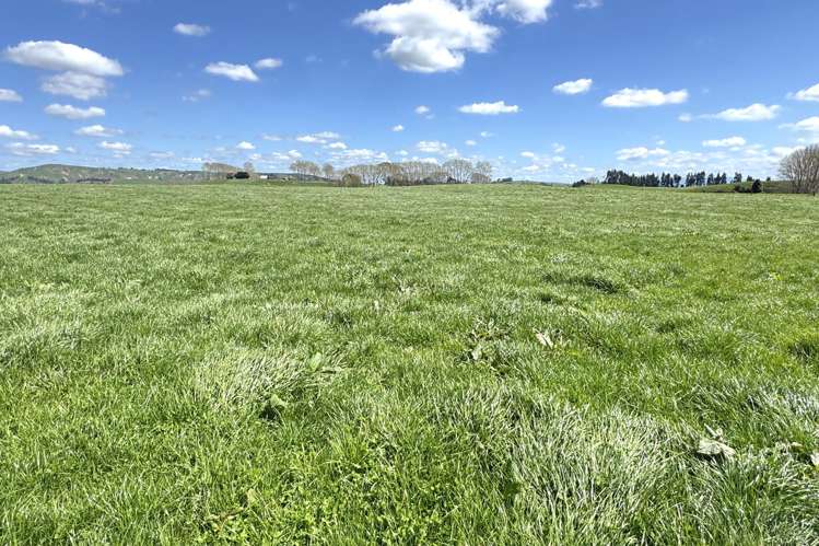 204 Mangatutu Road RD2 Maihiihi_17