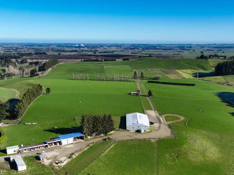 125B Davidson Road Mimihau_3