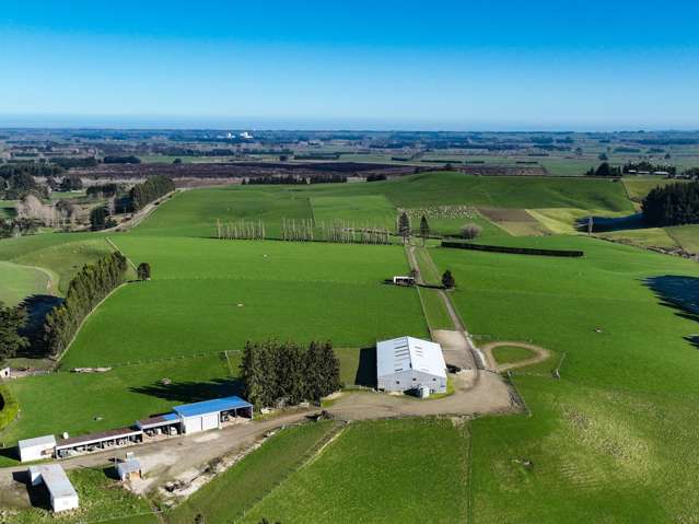 125B Davidson Road Mimihau_3