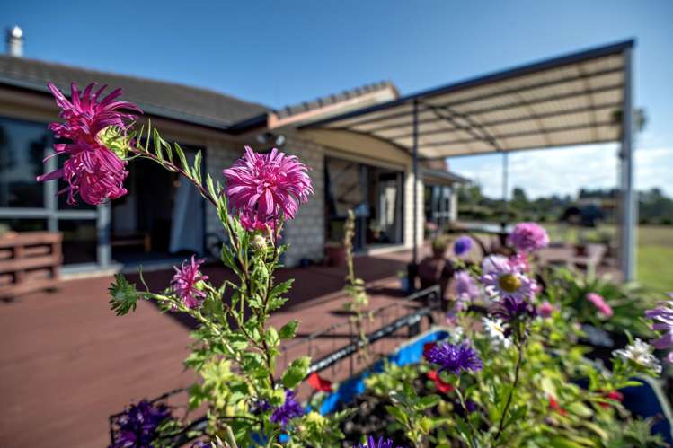 24 Johnson Road Otakiri_15
