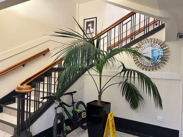 7 Market Street Napier South_2