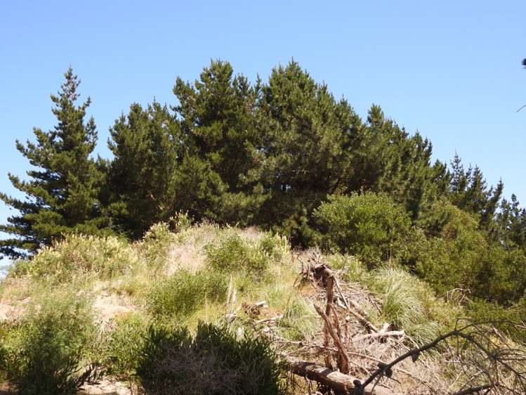 74b Himatangi Street Himatangi Beach_23