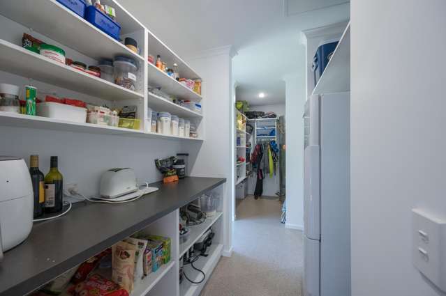 17 Tussock Place Stoke_4