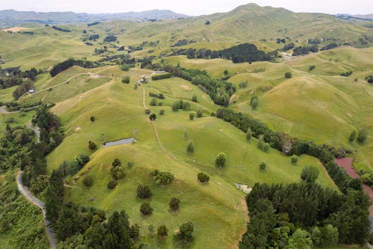 196 Ngapaeruru Road Dannevirke_7